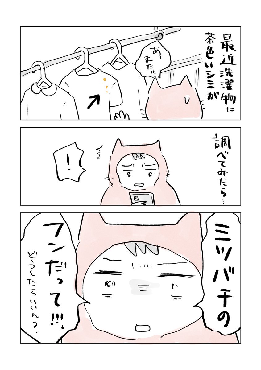 寝る前のどうでもいい報告 https://t.co/4pdv2RgT0N