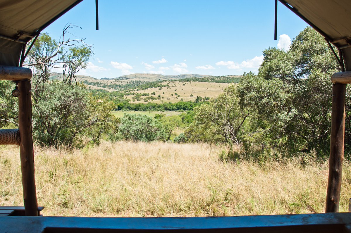 This could be your view this weekend!

Due to a late cancellation, we still have availability in our Swempie Luxury Tent for this weekend.

Book now before it's gone, at bsorah.com or email us at info@bsorah.com

#luxury #tent #glamping #retreat #weekend #getaway