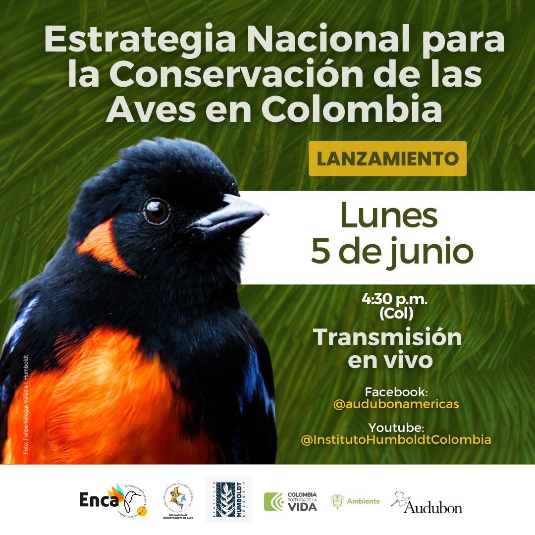 #HOY
En el #DíaMundialdelMedioAmbiente, estamos orgullosos de presentar la Estrategia Nacional para la Conservación de las Aves en Colombia. Es posible gracias al trabajo de <a href="/inst_humboldt/">Instituto Humboldt</a>, @rnoa, @audubonamericas y <a href="/MinAmbienteCo/">MinAmbiente Colombia</a>. 
Únete al lanzamiento: t.ly/SRR_