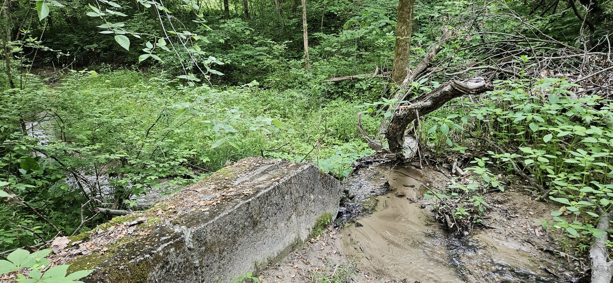 Rabern Simmons, PhD 🔬💧🍄 tweet media