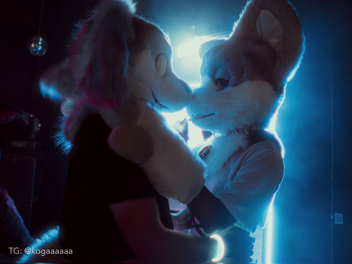 Bye_Maxwell's tweet photo. Had a blast at @OtterdamParty ! 

Suiters: me and @Vavi_AD
 :))
Photo credit:
First 2 by Kogaaaaaa on Telegram
Last one by vali_Glace on Telegram https://t.co/X6tFcstjmO