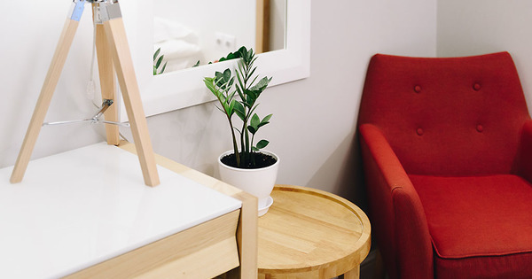 Can houseplants make your new house feel like a home?

Helping you Buy or Sell Your Berry Own Home.....
#yourberryownhome #corealtor #longmontco #firestoneco #lokationrealestate mortgages.com/buying-your-fi…