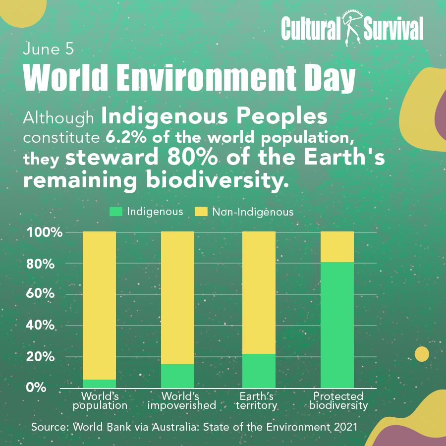 On today's #WorldEnvironmentDay, we celebrate and highlight #IndigenousPeoples' crucial role in protecting our planet's environment and ecosystems, stewarding humanity's and future generations' common goods and livelihoods. #IndigenousStewardship #IndigenousLivelihoods