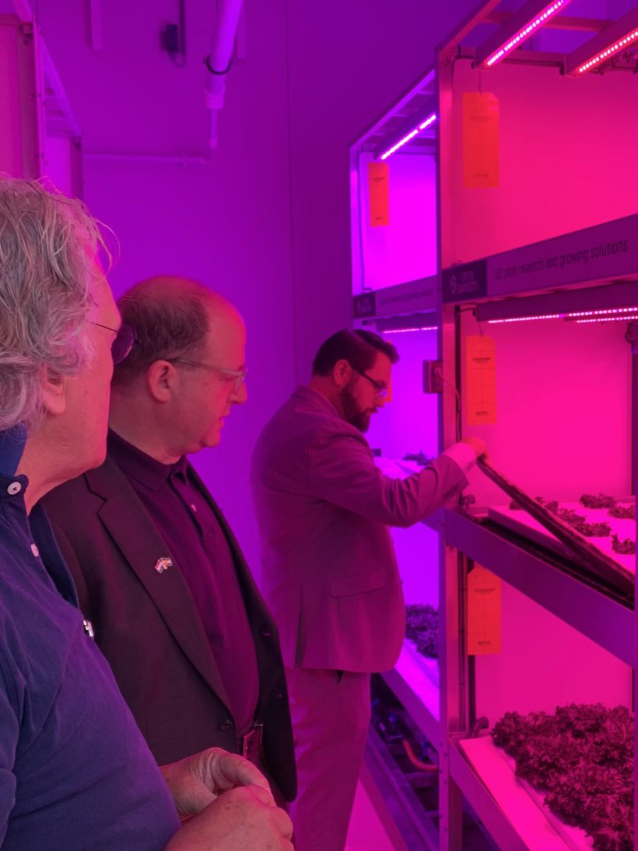 Theo Peters tweet media