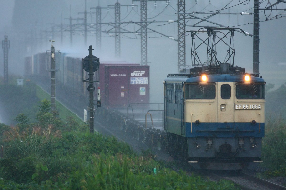 #EF65の日 
EF651054最終運用　東北線3066レ 2010,9,20
飾り気の無い姿で土砂降りの中を突っ走る貨物機らしい最後でした。