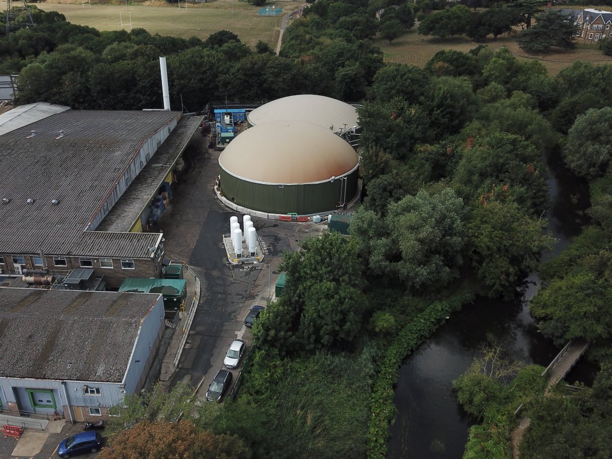 BioCollectors's tweet photo. It's #WorldEnvironmentDay2023 and if you didn't know already, we're all about the #environment at Bio Collectors! Our facility happily sits right next to Bennetts Hole nature reserve, right on the banks of the River Wandle, Mitcham. https://t.co/orv3sCaVWt