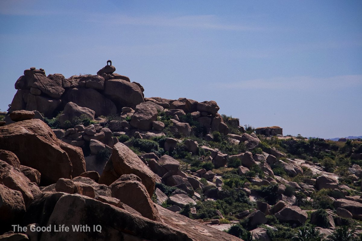 Sentinel.
Hampi, India
#onephotoeachday #CapturedOnCanon #MadeWithLightroom #natgeoindia #traveltuesday #ngtindia #lpindia