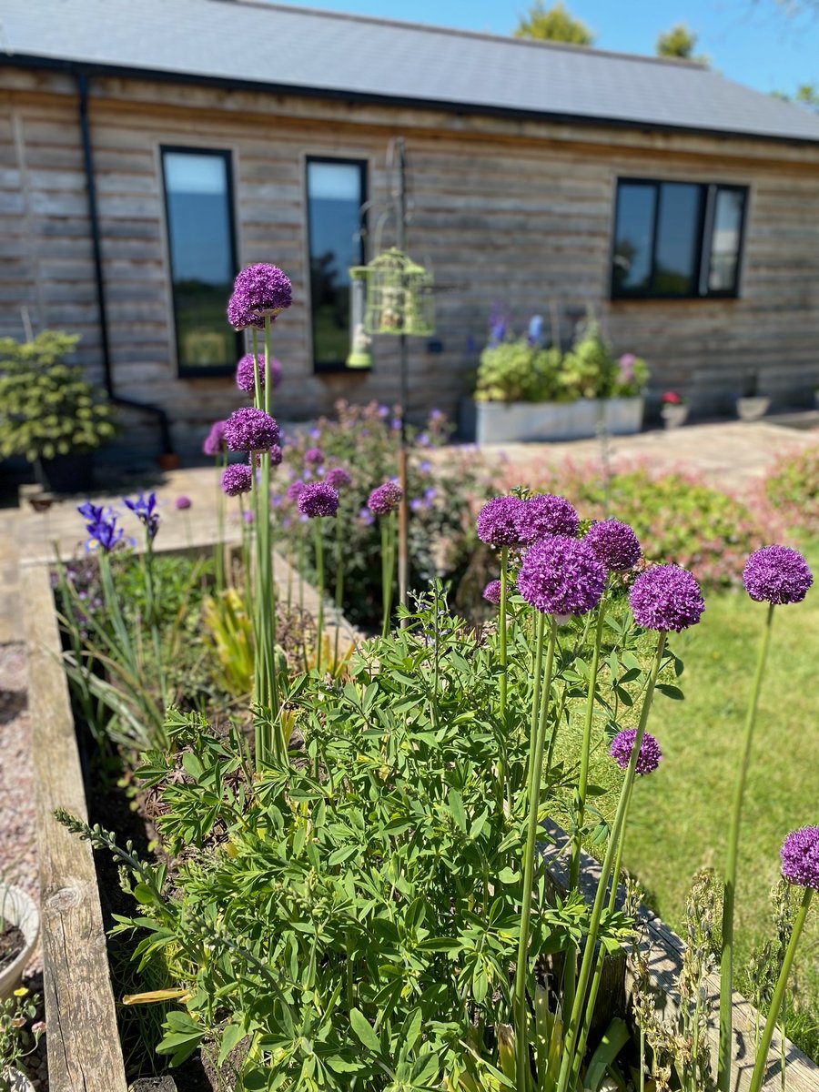 iHUSProjectsLtd's tweet photo. 🥰 3 GENERATIONS, living happily in one place.
Hear from the Haughton's family and more of our customers within our selection of past projects here 👉 https://t.co/zbWFOkF2ze

#grannyanexe #annexehomes #gardenrooms #gardenhomes #oakcladding #carehomealternatives #firsthomes https://t.co/WY1kMIkAW4