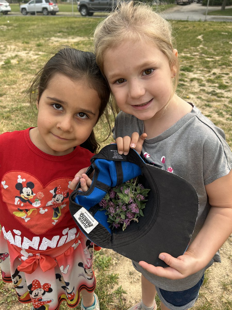 We collected clover for our butterflies in case they came out of their chrysalis and we weren’t there. So we decided to give it a taste too!
