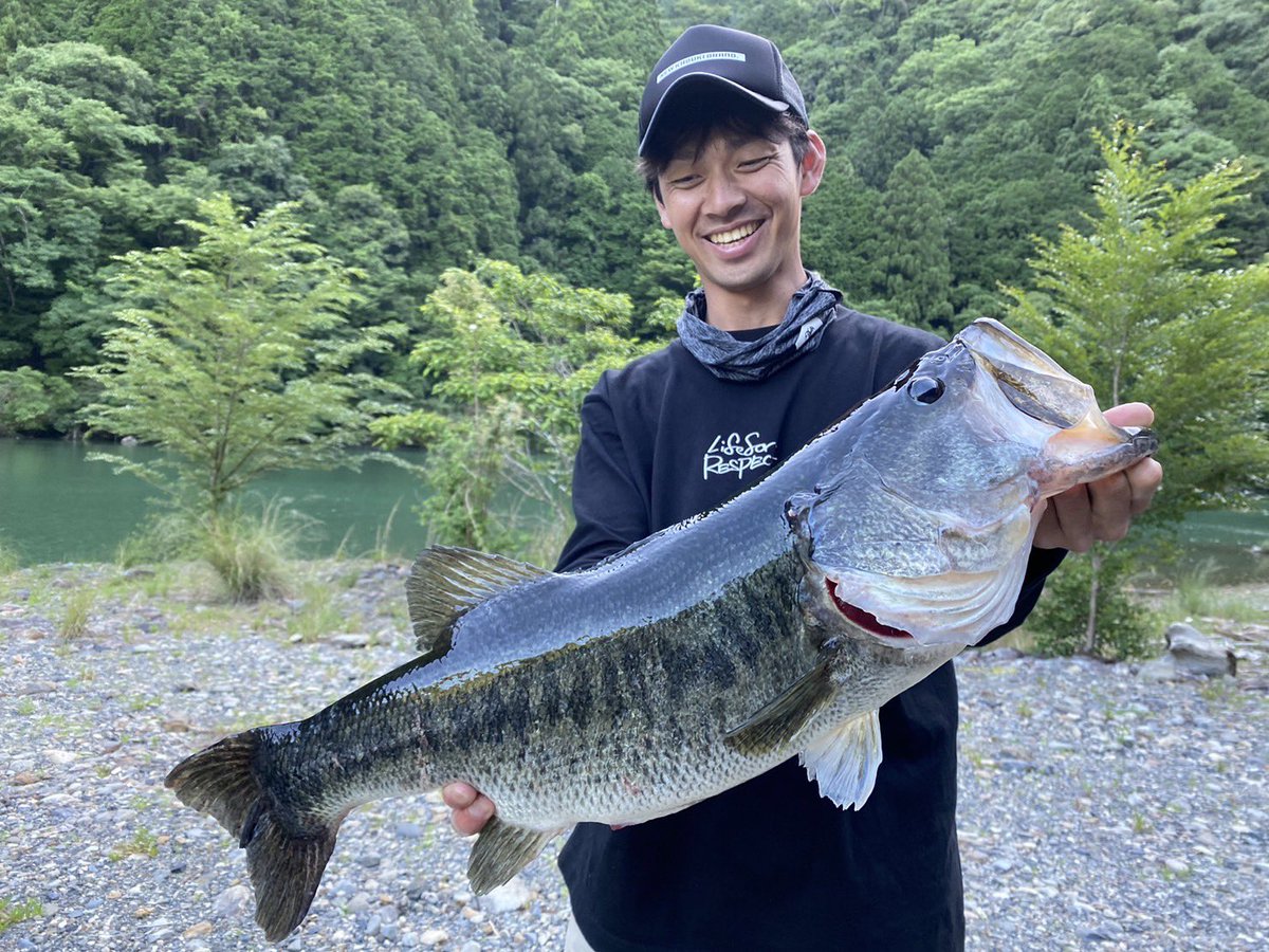 11seasky11's tweet photo. 週末は七色ダム

サカマタシャッド8にすっ飛んできて一口の67cm
ウナ9を流れのヨレの中を小さく速く動かして65cm

ステルススイマーは1日でストックが全て壊れてしまいました😂

#七色ダム　#newkabukibrand #バッシングロード　#bassingroad #valleyhill #ジャンキーズ　#smith　#5本15キロ　#ナナ https://t.co/TC4KQox94r