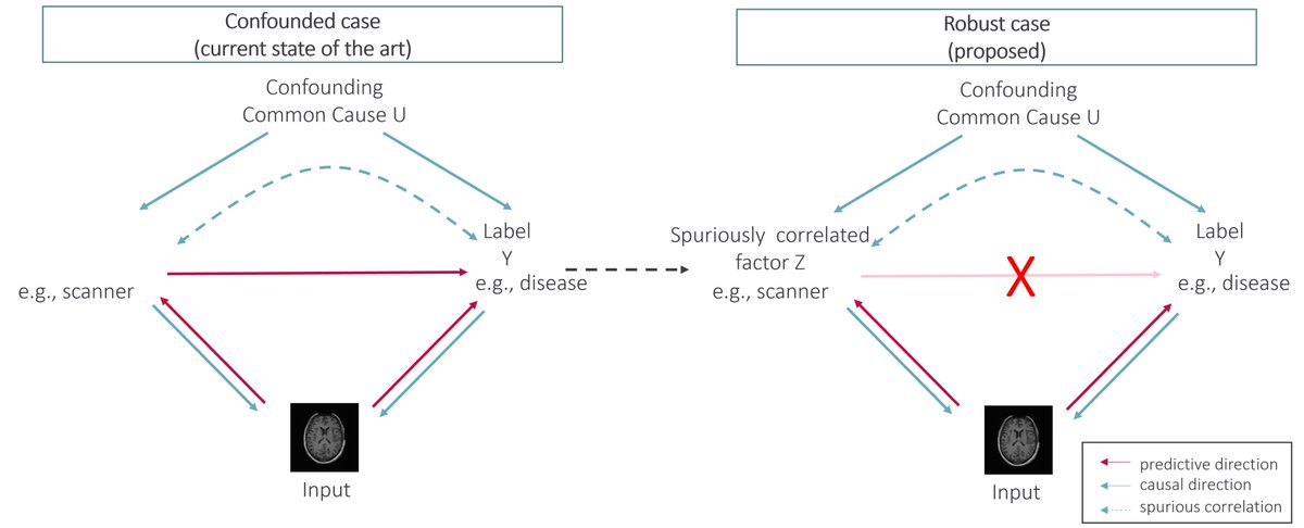 📷 We will be presenting our research on 'Avoiding shortcut learning by Mutual Information Minimization in deep learning-based MRI processing' at #ISMRM23! Join us at 13:45 for insights on causal learning in medical imaging! Abstract#0154 <a href="/lab_midas/">MIDAS.lab</a>
