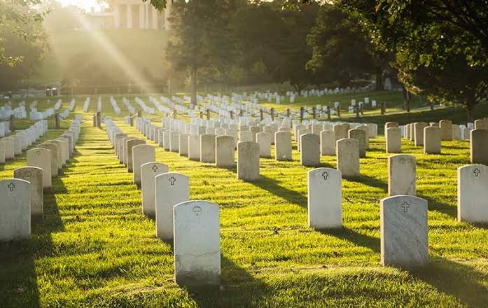 bElult2's tweet image. plan A   //  plan B