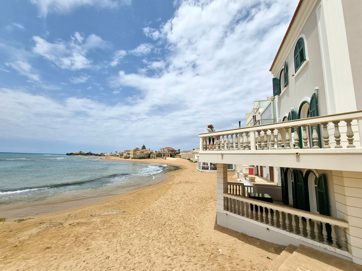 il mulo seduto tweet media