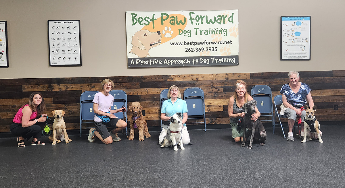 Congrats #Level2Manners grads! The teams progressed nicely through the advanced skills. The confidence and teamwork that these teams developed clearly brought their relationship to the next level. #GradPhotos #AdvancedManners #ForceFreeDogTraining #Dogs #RewardBasedDogTraining