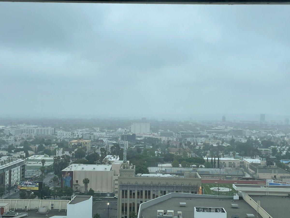 Adam Lee tweet media