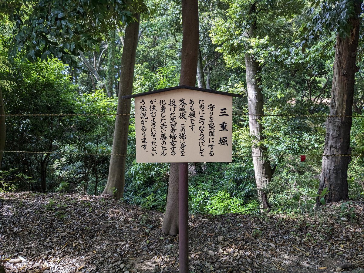 穴山武田氏 第三編 第三章 第六節