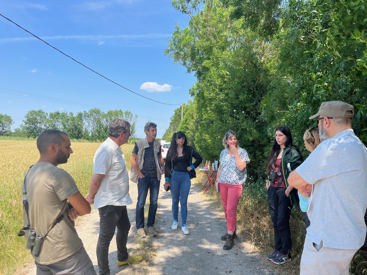 pmaraispoitevin's tweet photo. Le Busard cendré est une espèce menacée : la protection s'organise dans le Parc Marais poitevin depuis +20 ans. Action collective avec LPO Poitou Charentes @LPOVendee, associations et agriculteurs. Le point avec la presse cet après-midi. 🐦Doc presse https://t.co/rMihLeGFmr https://t.co/C0ndJ1IF5U