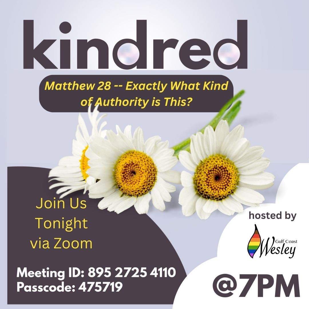 🌻 We Get to Meet Tonight - mailchi.mp/5875881a8504/w…