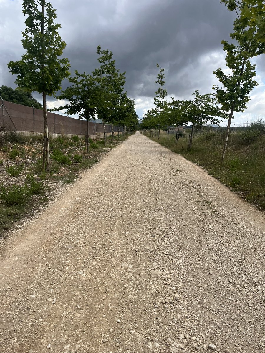 When in Spain… another ride on an old railway line👌🏽 good 40 mile ride with the Mrs #gravel #mtb <a href="/UKMTB_Chat/">UKMTB_Chat</a> <a href="/UKCycleChat/">UKCycleChat™</a> #majorca