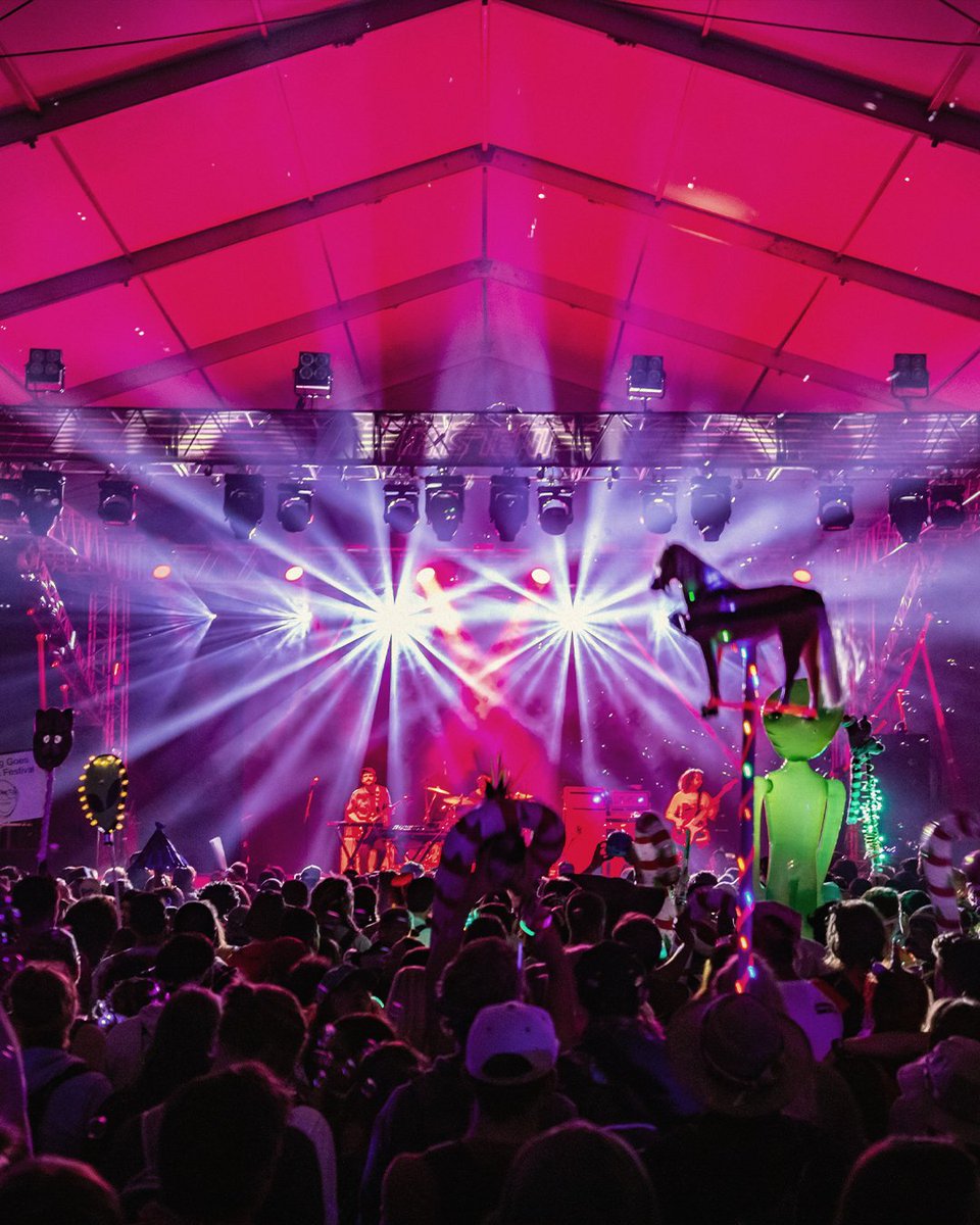 Bonnaroo tweet media
