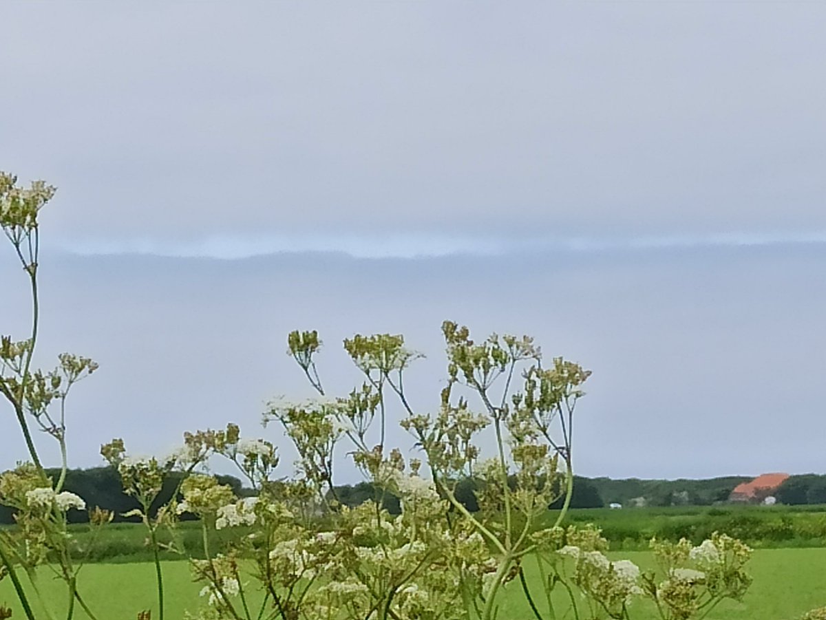GeaSpijker's tweet photo. We zagen op Texel deze mooie wolk! Ik vind het bijzonder. #vrtweer https://t.co/gEmSMNHSSU
