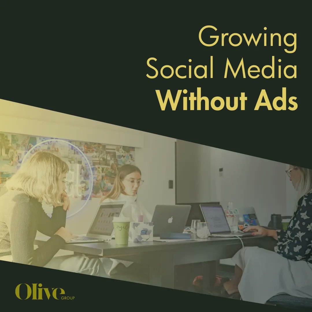 Olive Group LLC tweet media