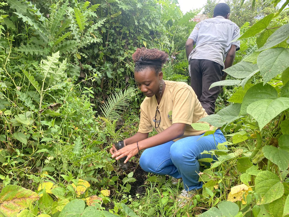 Journée mondiale de l'environnement, 05 juin.
"Les jeunes doivent prendre conscience que notre planète est notre unique maison et que c'est notre devoir de la protéger pour les générations futures." -  Ban Ki-moon