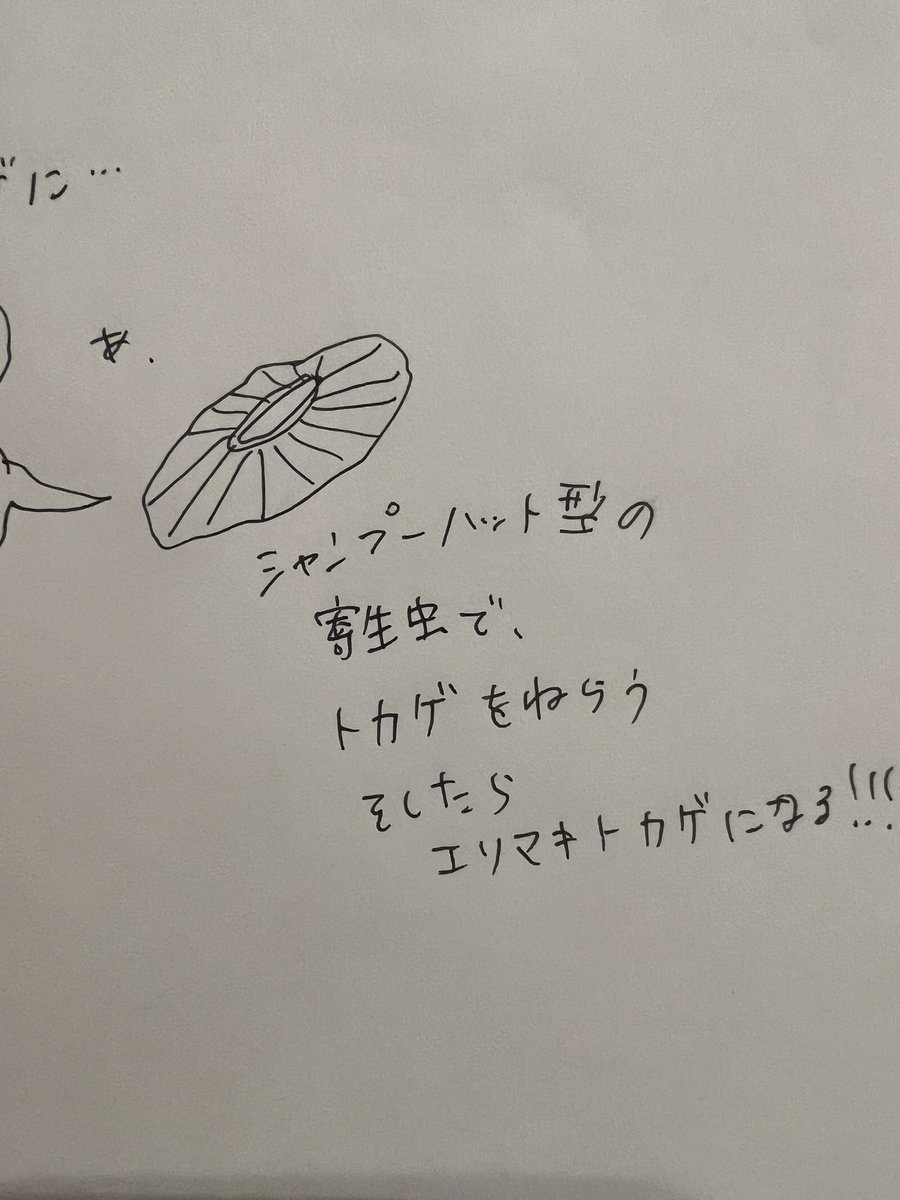 漫画考えてると脱線してこんな事ばっかり思いつくけど漫画の本節に一切関係ないから何にもならない🪿