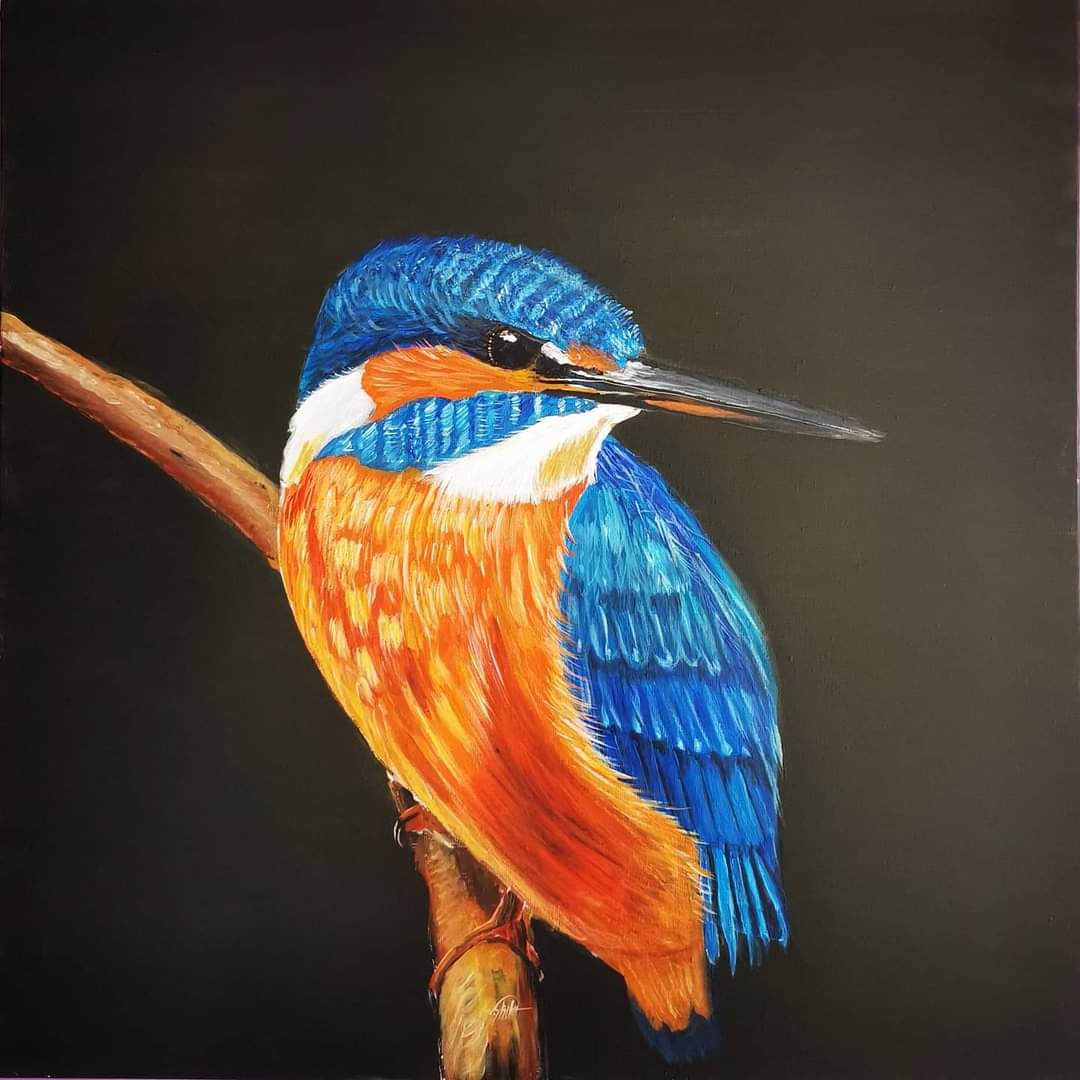 Sleman_Art's tweet photo. #ijsvogel #kingfisher
Mijn werk #te_koop
Size 50x50cm
Delen is lief 🙏🙂
#Amsterdam #rotterdam #groningen #breda #België #nijmegen #Eindhoven #DenHaag #zandaam #utrecht #Zwolle #zoetermeer #friesland #maastricht #almere
#deventer #Hengelo #denbosch #tilburg #alkmaar #roermond https://t.co/kKYPuk9mUX