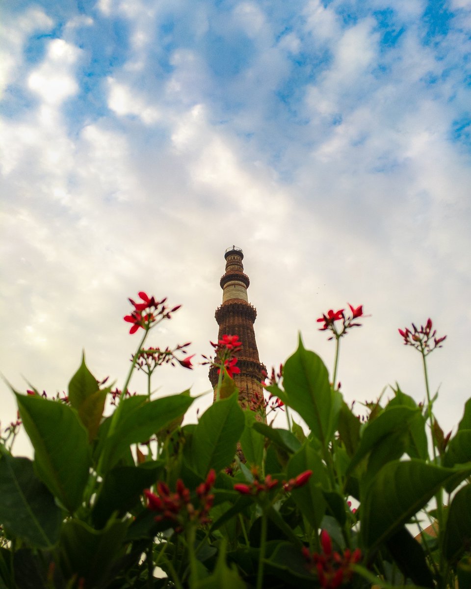 sibinn__'s tweet photo. "A symphony of stone"

#TeamPixel 
@madebygoogle 

#Qutabminar #Delhi #IncredibleIndia https://t.co/FI89nsDtj5