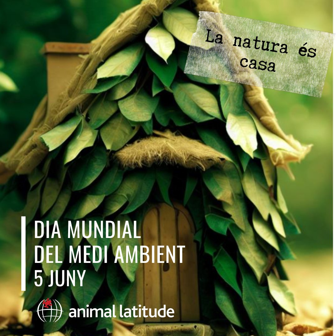 🌱Feliç dia mundial del Medi Ambient! 
🌍Feliz día mundial del Medioambiente!  La natura és casa nostra, cuidem-la!  

#diamundialmediambient #environment #natureishome #medioambiente #educacioambiental #educacionambiental