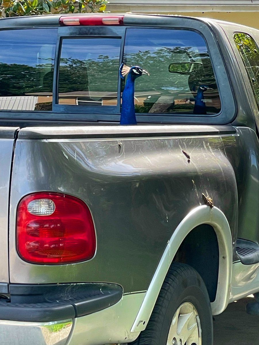 Eric Bischoff tweet media