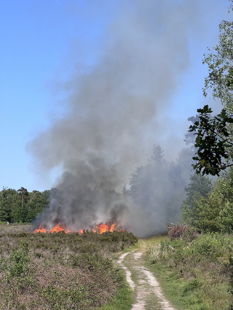 Erwin Kreijne tweet media