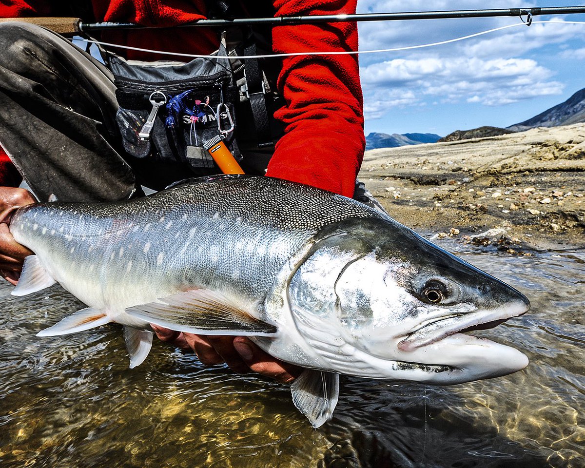 Greenland….. Photo by Getaway Flyfishing.