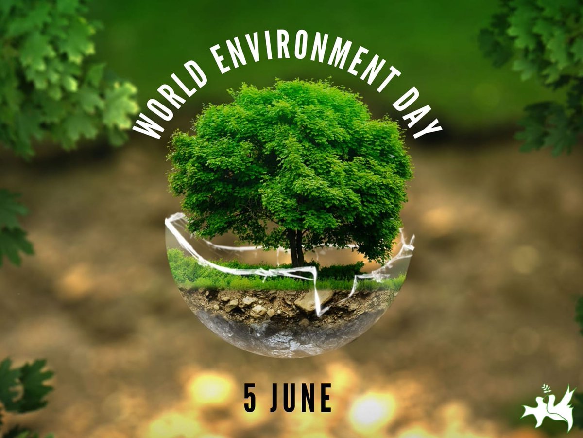We commit ourselves to Championing for the implementation of SDGs in our communities and providing solutions to end plastic waste, protect water catchment areas and growing trees.We must take the lead to provide sustainable solutions. #WorldEnviornmentDay 
#BeatPlasticPollution