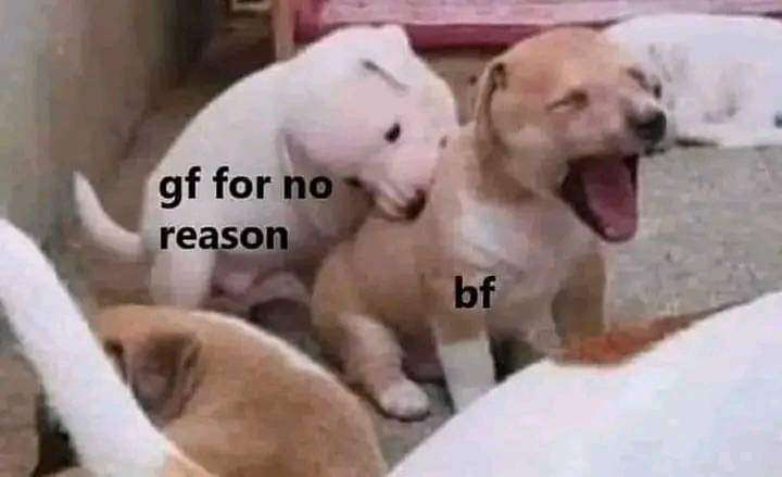 /ᐠ - ˕ -マ (@lovesickdoe) on Twitter photo 