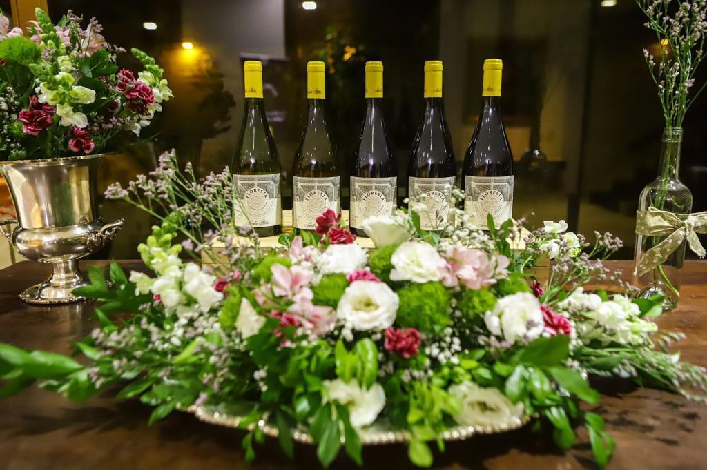 ProChile Brasil tweet media