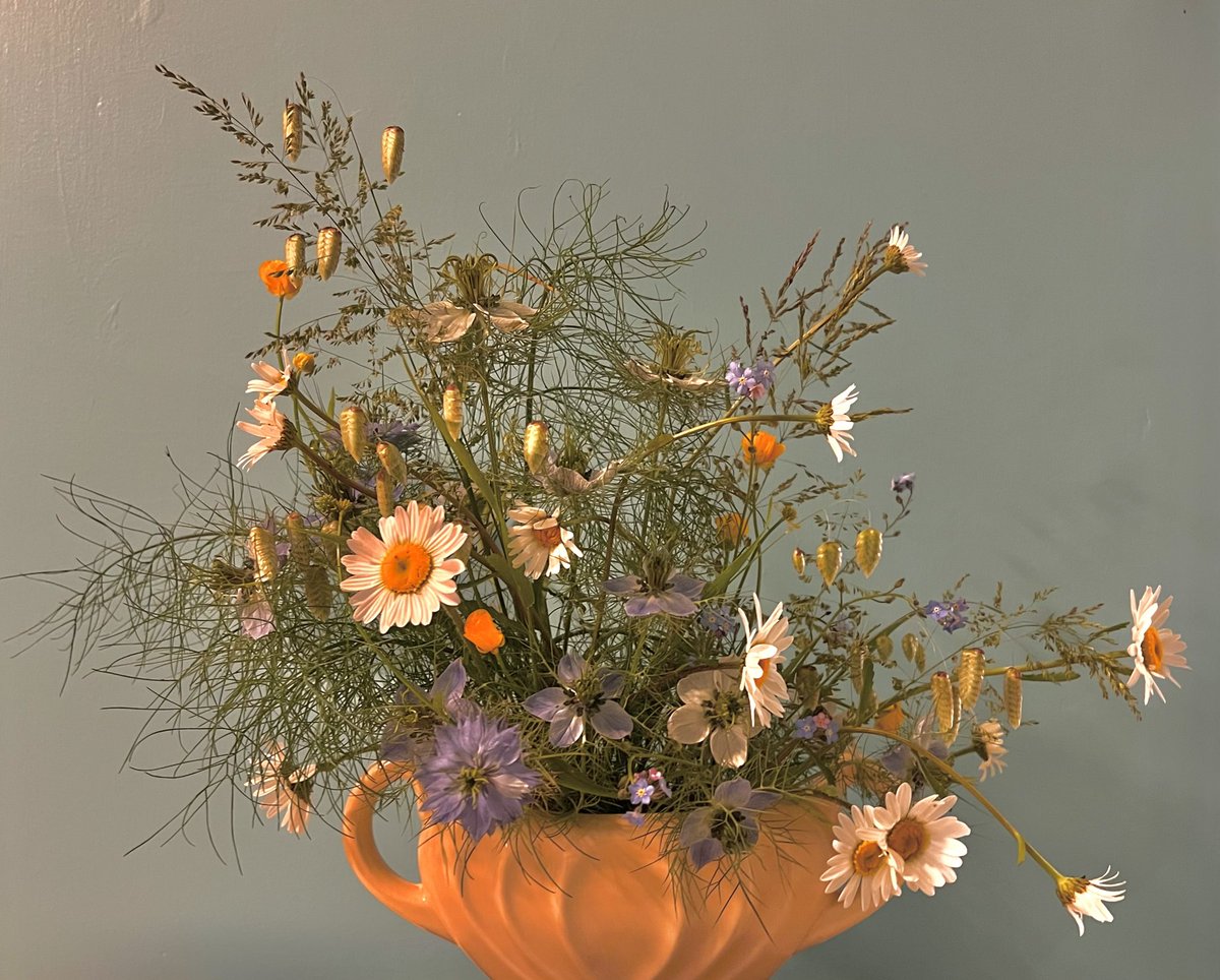 Everything in this arrangement was the result of rampant self-seeding in my untidy cutting patch. The result, an arrangement of flowers, grasses #weeds you can’t buy in a shop! 
#britishflowers #wildflowers #gardengrown #Hampton #Teddington #EastMolesey