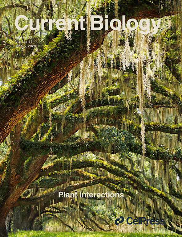 Our new special issue on Plant Interactions is out! Inside is a collection of pieces giving an overview of some of the many interesting ways in which plants interact with others and with each other. Have a look: cell.com/issue/S0960-98…