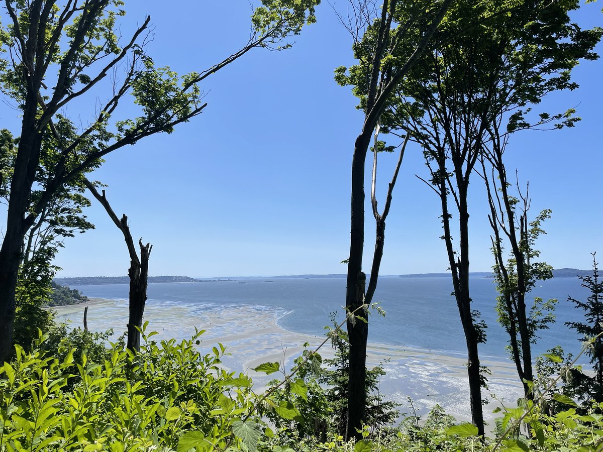 Amy Harder on Twitter "Super low tides made for a super cool Sunday