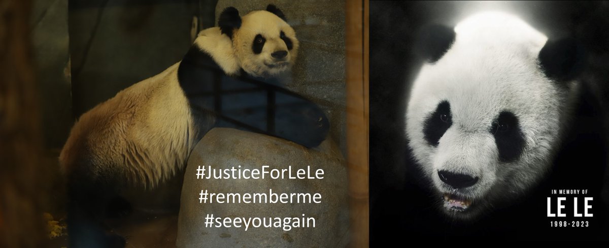 pandavoices.org tweet media