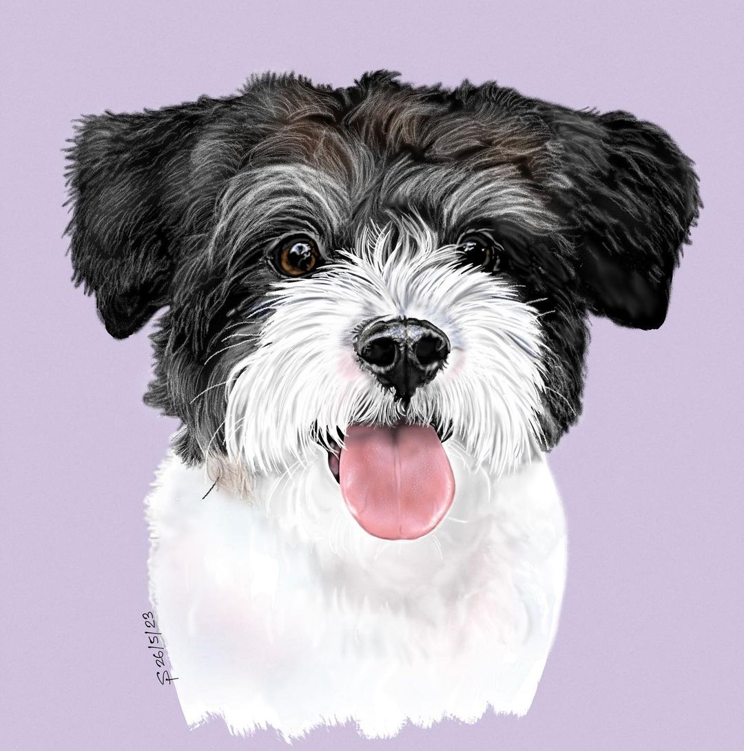 Beautiful dog portraits by @fabfoxies who uses different tools like acrylic, airbrush ink and watercolor with an excellent drawing technique.  

#tayasui #tayasuisketches #made_in_sketches #iOS #drawing #drawingapp