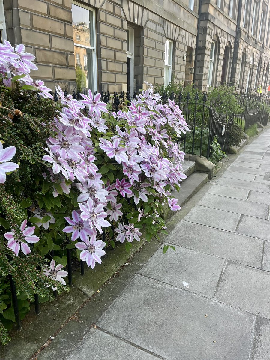 A Flat In Town tweet media