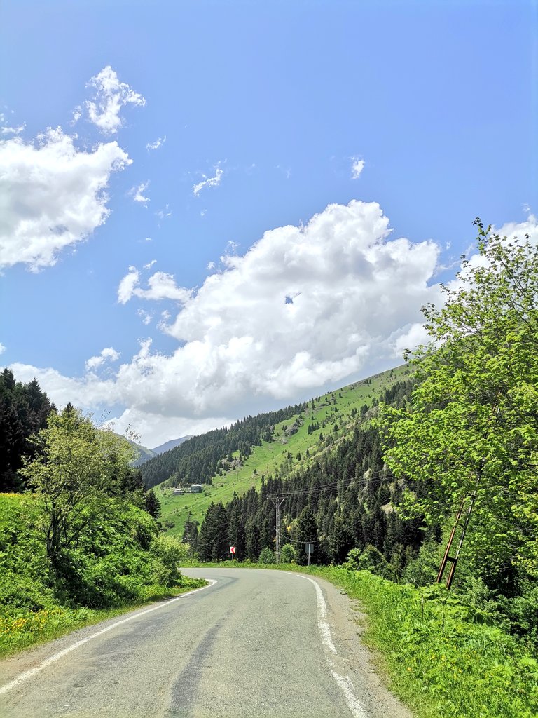 Bugün günlerden #nature...🌲💚