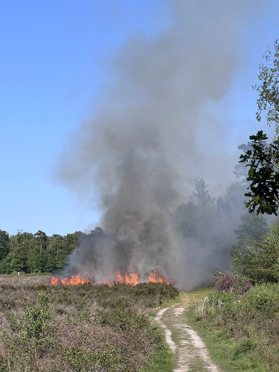 Erwin Kreijne tweet media