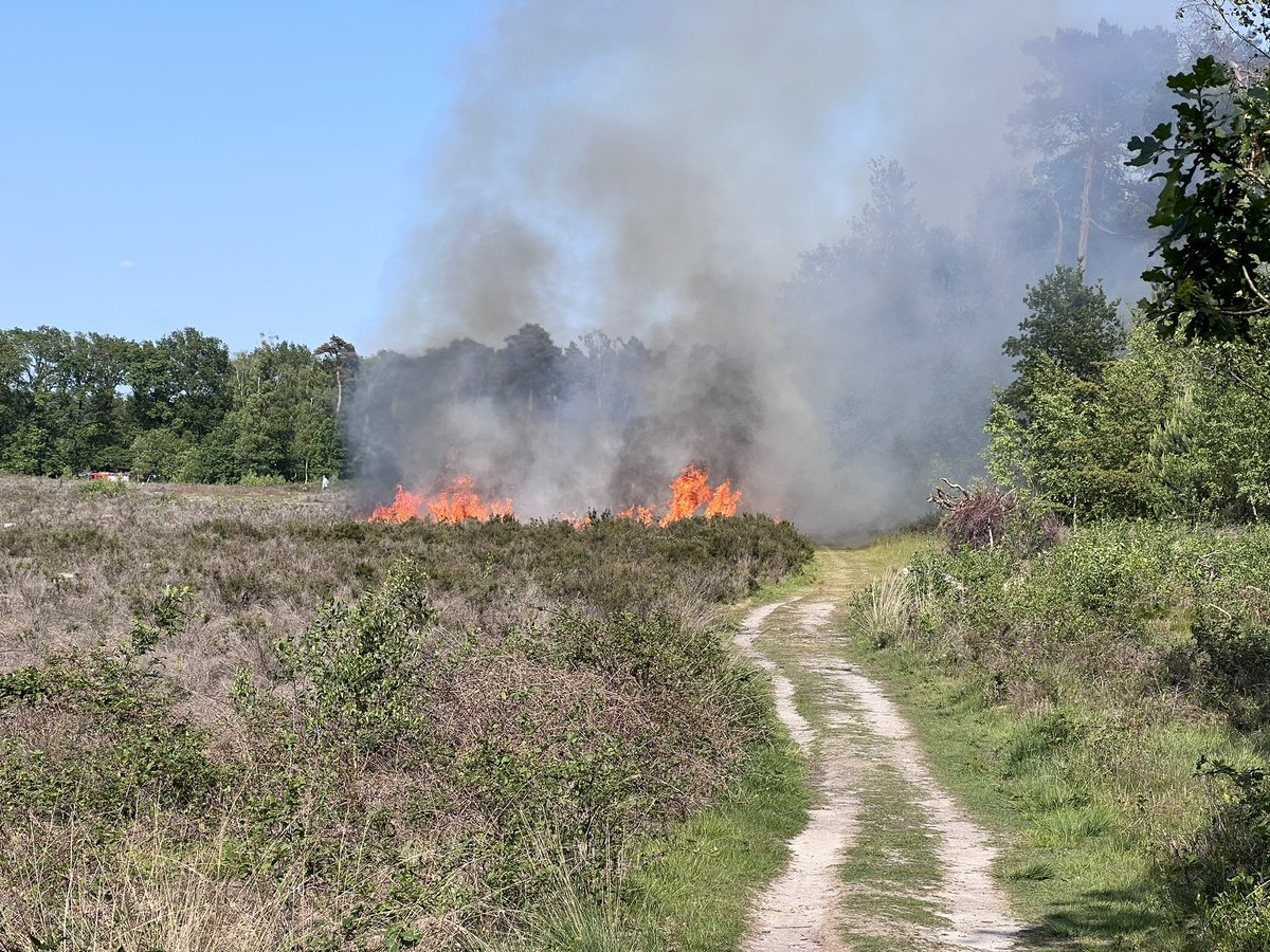 Erwin Kreijne tweet media