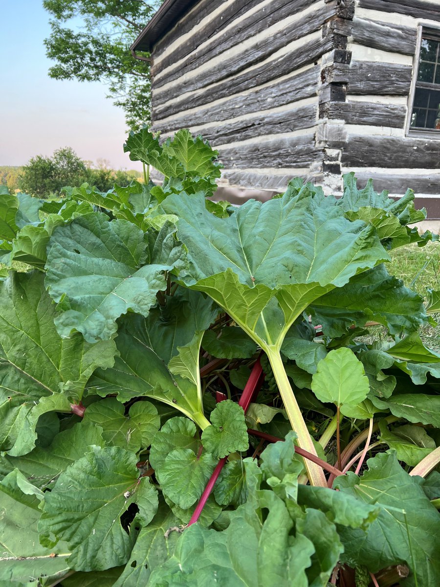 Kawartha Lakes Food Source tweet media