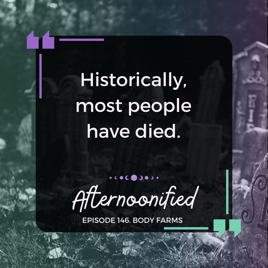 afternoonified's tweet photo. Probably at least 75% https://t.co/yIZEmPx5K5