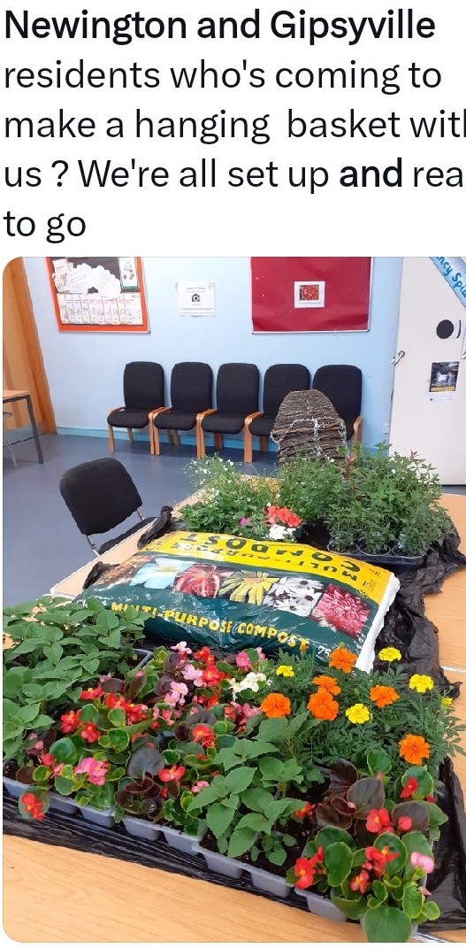 Lynn Petrini (@petrinilynn) on Twitter photo 