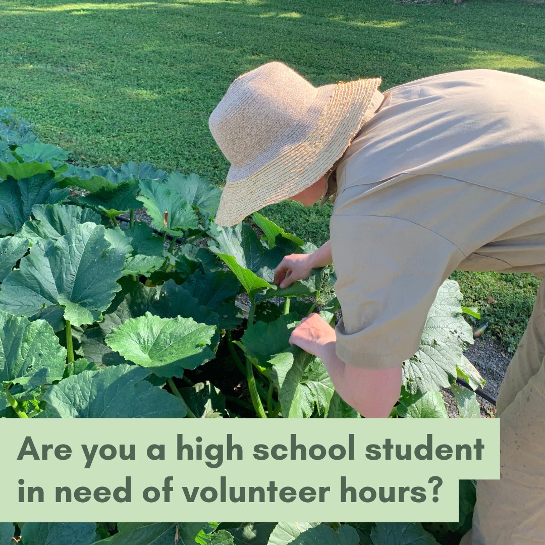 Kawartha Lakes Food Source tweet media